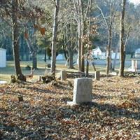 Bouldin Cemetery (Thomas) on Sysoon