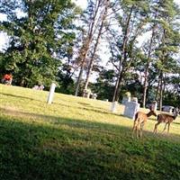 Bowen Cemetery on Sysoon