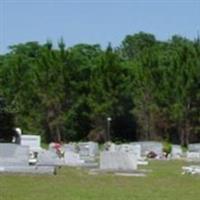 Olive Branch Baptist Church Cemetery on Sysoon