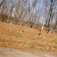 Brandon Family Cemetery on Sysoon