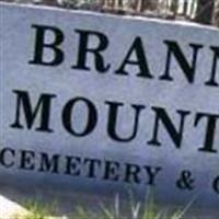 Brannon Mountain Cemetery on Sysoon