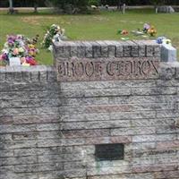 Brook Cedron Cemetery on Sysoon