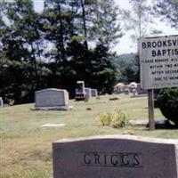 Brooksville Cemetery on Sysoon