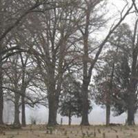 Brown Cemetery on Sysoon