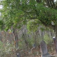 Brownsville Community Cemetery on Sysoon