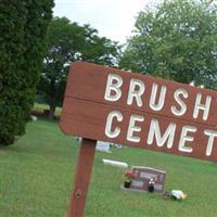 Brushville Cemetery on Sysoon