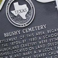 Brushy Cemetery on Sysoon