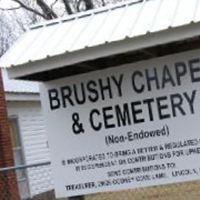 Brushy Cemetery on Sysoon