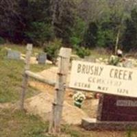 Brushy Cemetery on Sysoon