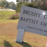 Brushy Creek Cemetery on Sysoon