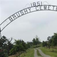 Brushy Creek Cemetery on Sysoon