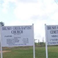 Brushy Creek Cemetery on Sysoon