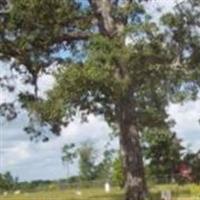 Brushy Creek Cemetery on Sysoon