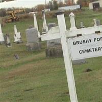 Brushy Fork Baptist Cemetery on Sysoon