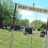Brushy Knob Cemetery on Sysoon