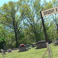 Brushy Knob Cemetery on Sysoon
