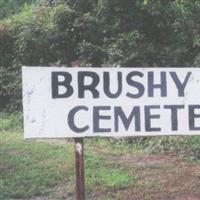 Brushy Mountain Cemetery on Sysoon