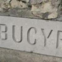 Bucyrus Cemetery on Sysoon