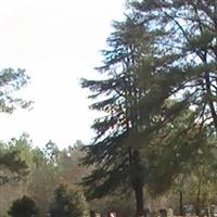 Bullard Family Cemetery on Sysoon