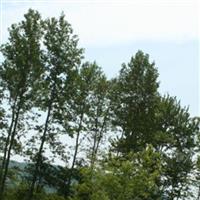 Burgart Family Cemetery on Sysoon