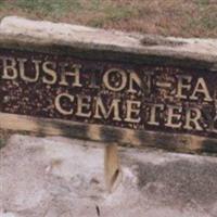 Bushton - Farmer Township Cemetery on Sysoon