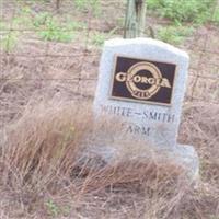 Caleb White Family Cemetery on Sysoon
