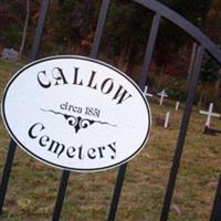 Callow Cemetery on Sysoon