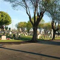 Calvary Cemetery on Sysoon