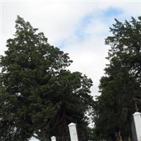 Calvary Cemetery on Sysoon