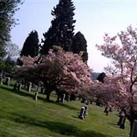 Calvary Cemetery on Sysoon