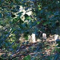 Canady Family Cemetery on Sysoon