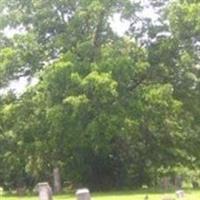 Cane Creek Cemetery on Sysoon