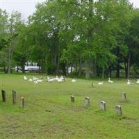 Cape May County Park and Zoo Burial Ground on Sysoon