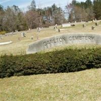 Carlton City Cemetery on Sysoon