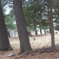 Carman Cemetery on Sysoon