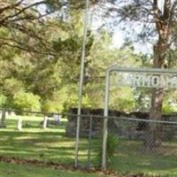 Carmona Cemetery on Sysoon