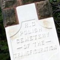 Roman Catholic Polish Cemetery of the Transfigurat on Sysoon