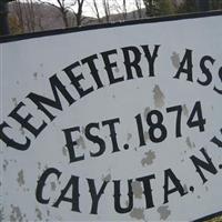 Cayuta Cemetery on Sysoon