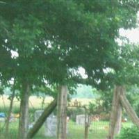 Cedar Gap Cemetery on Sysoon