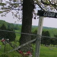 Cedar Grove Cemetery on Sysoon