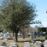 Cedar Lawn Cemetery on Sysoon