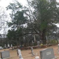 Cedar Springs Cemetery on Sysoon