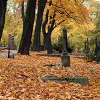 Cemetery of Our Saviour on Sysoon