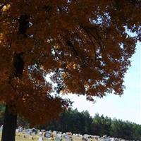 Center Point Cemetery on Sysoon