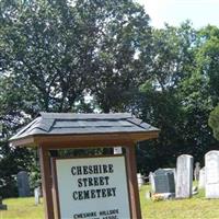 Cheshire Street Cemetery on Sysoon