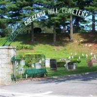 Chestnut Hill Cemetery on Sysoon