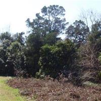 Chickasawhatchee Methodist Church Cemetery on Sysoon