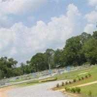 Clear Springs Community Cemetery on Sysoon