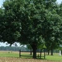 Cobb Family Cemetery on Sysoon