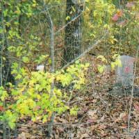 Coleman Cemetery on Sysoon